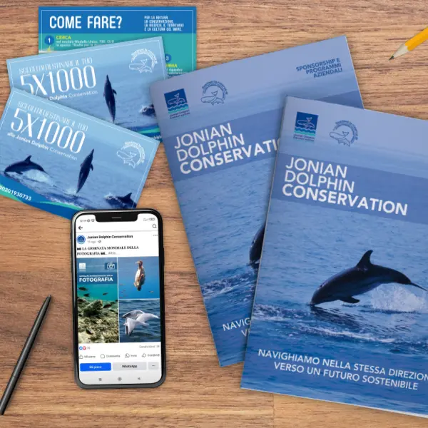 Il progetto di Rebranding per la Jonian Dolphin Conservation - La sfida