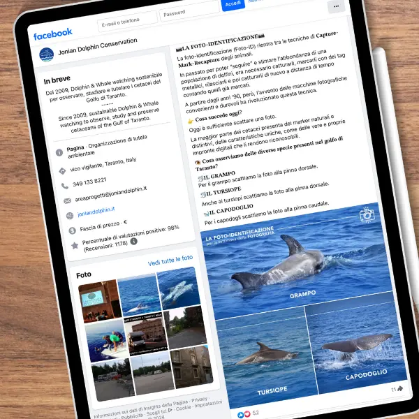 Il progetto di Rebranding per la Jonian Dolphin Conservation - La soluzione