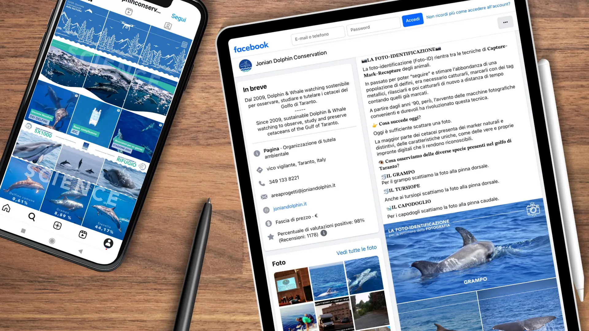 Il progetto di Rebranding per la Jonian Dolphin Conservation - La soluzione
